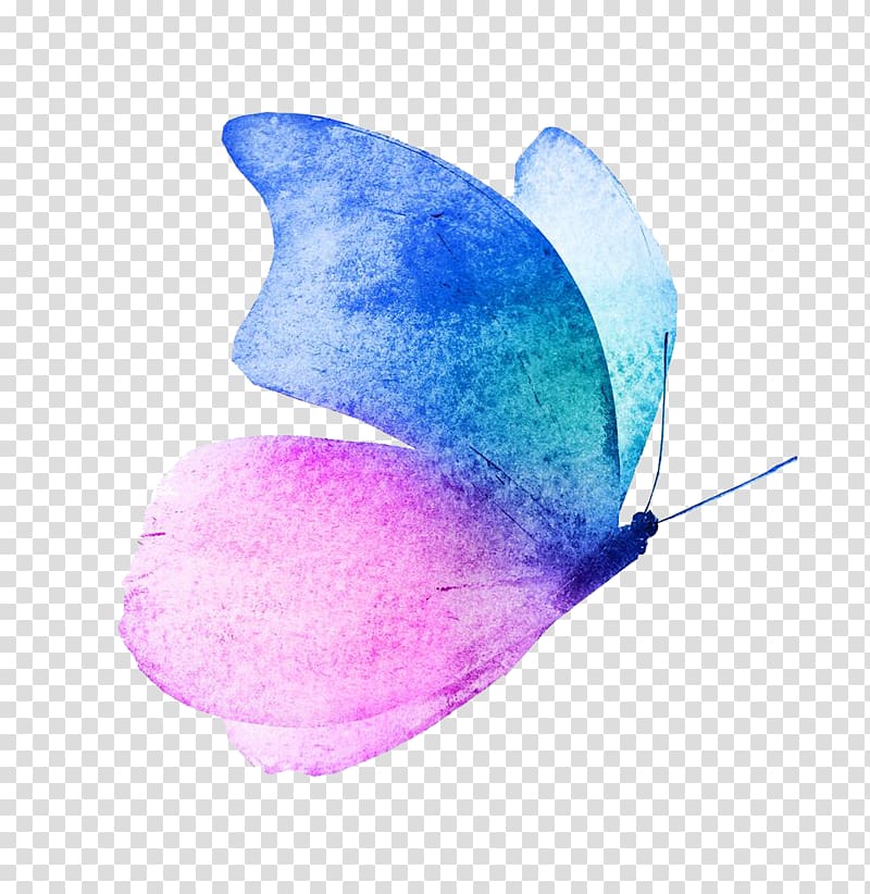 Butterfly Watercolor painting , butterfly transparent background PNG clipart