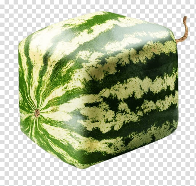 watermelon fruit, Square Watermelon transparent background PNG clipart