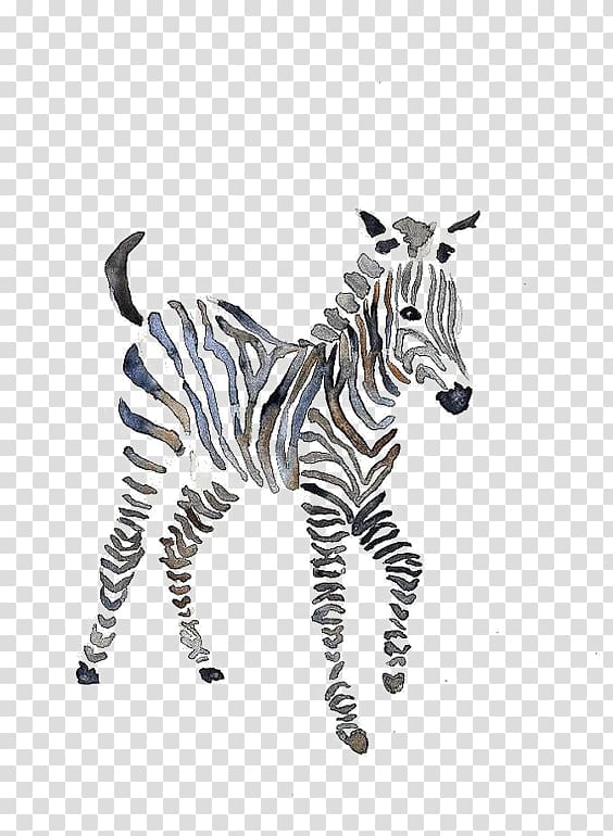 zebra illustration, Quagga Zebra Watercolor painting Okapi, zebra transparent background PNG clipart
