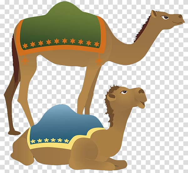 Camel Holy Family Nativity scene Christmas , Camel transparent background PNG clipart