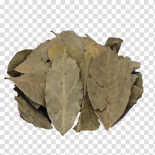 Bay Laurel Food Bay leaf Spice, Leaf transparent background PNG clipart