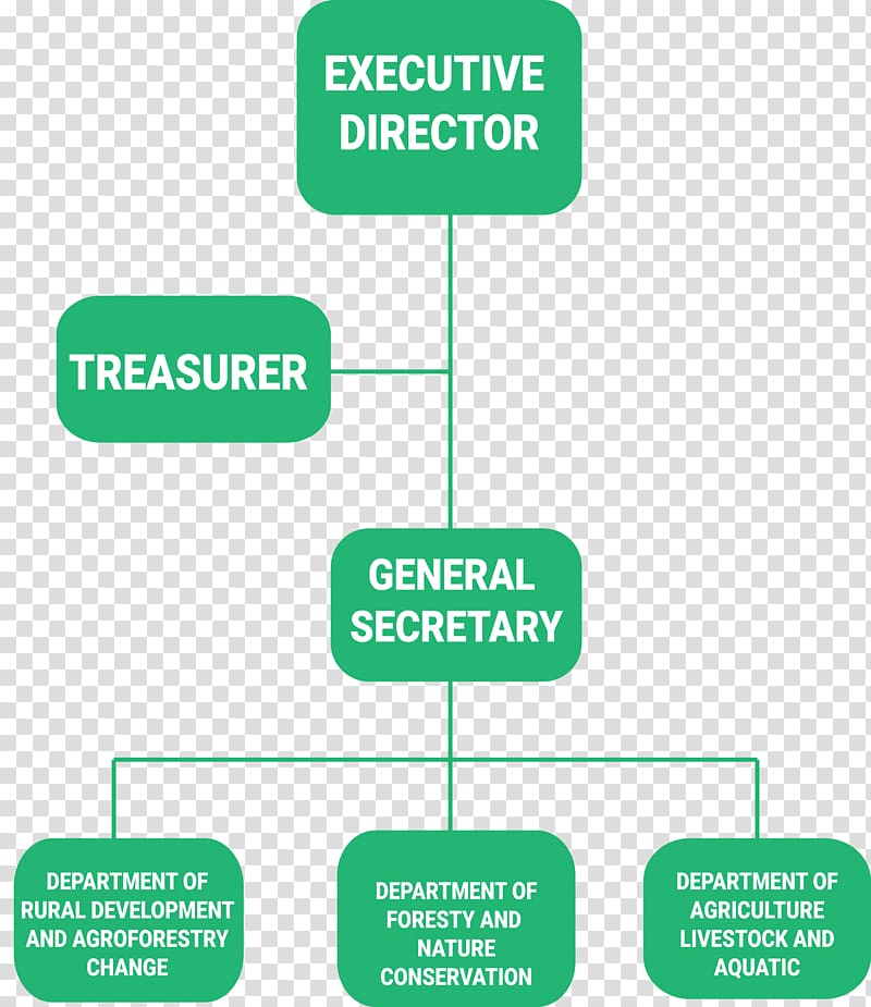 Organizational chart Non-Governmental Organisation Management Non-profit organisation, government organs transparent background PNG clipart
