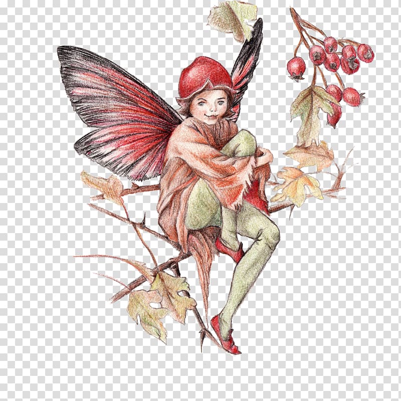fairy illustration, Flower Fairies Fairy Illustration, Hand painted fairy illustrations transparent background PNG clipart