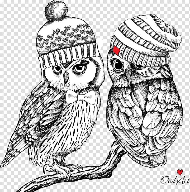Owl Bird Drawing Illustration, Hand-painted owl transparent background PNG clipart