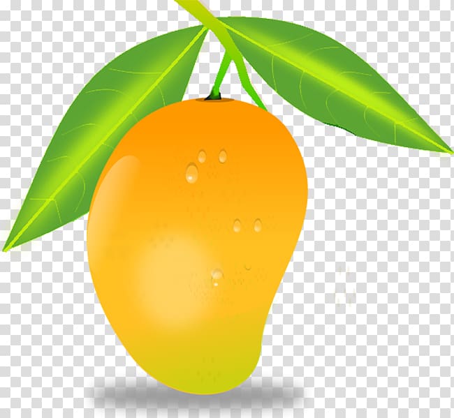 Mango , mango transparent background PNG clipart