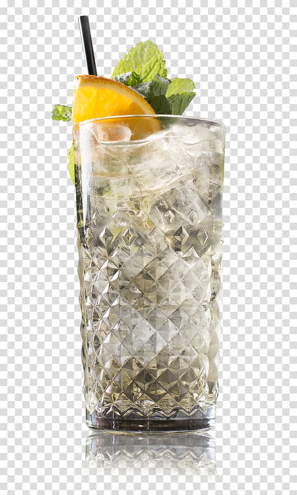 Mint julep Gin and tonic Cocktail garnish Vodka tonic Tonic water, cocktail transparent background PNG clipart