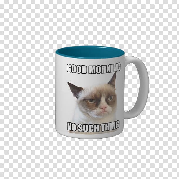 Kitten Mug Grumpy Cat Coffee, kitten transparent background PNG clipart