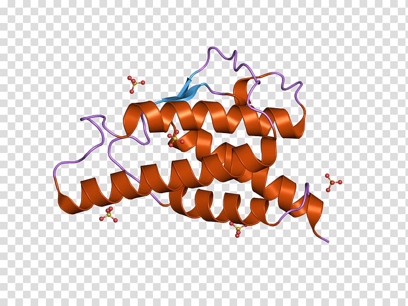 Interleukin 9 Interleukin 4 Crystal structure, others transparent background PNG clipart