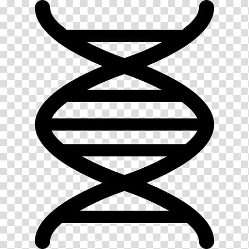 DNA Nucleic acid double helix Genetics Computer Icons, science transparent background PNG clipart