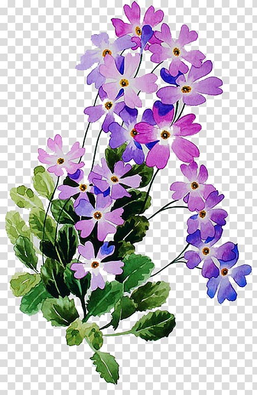 Floral design Petal Viola Herbaceous plant, flowers transparent background PNG clipart