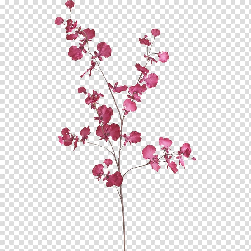 DOCKSTA Dining table Cut flowers Color, cherry blossom transparent background PNG clipart