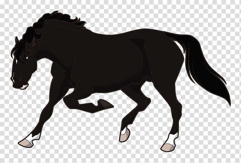 Stallion Mustang Rein Mare Pony, mustang transparent background PNG clipart