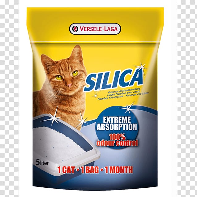 Silica gel Silicon dioxide Cat Absorption Bedding, Cat transparent background PNG clipart