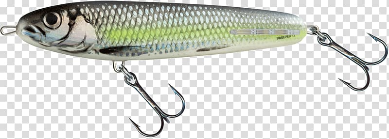 Northern pike Plug Fishing Baits & Lures Bass worms Angling, Fishing transparent background PNG clipart