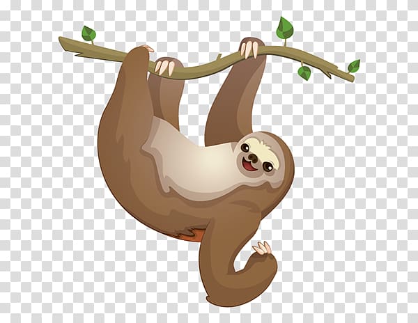 brown sloth hanging on tree branch illustration, Sloth Drawing , others transparent background PNG clipart