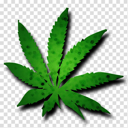 Wall decal Cannabis Bumper sticker, Rastafari transparent background PNG clipart