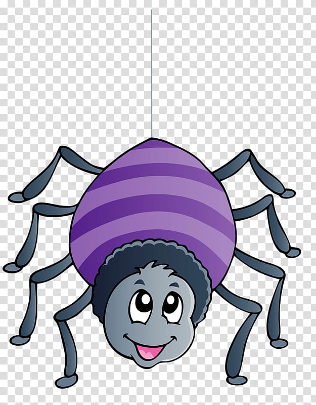 Insect , spider transparent background PNG clipart