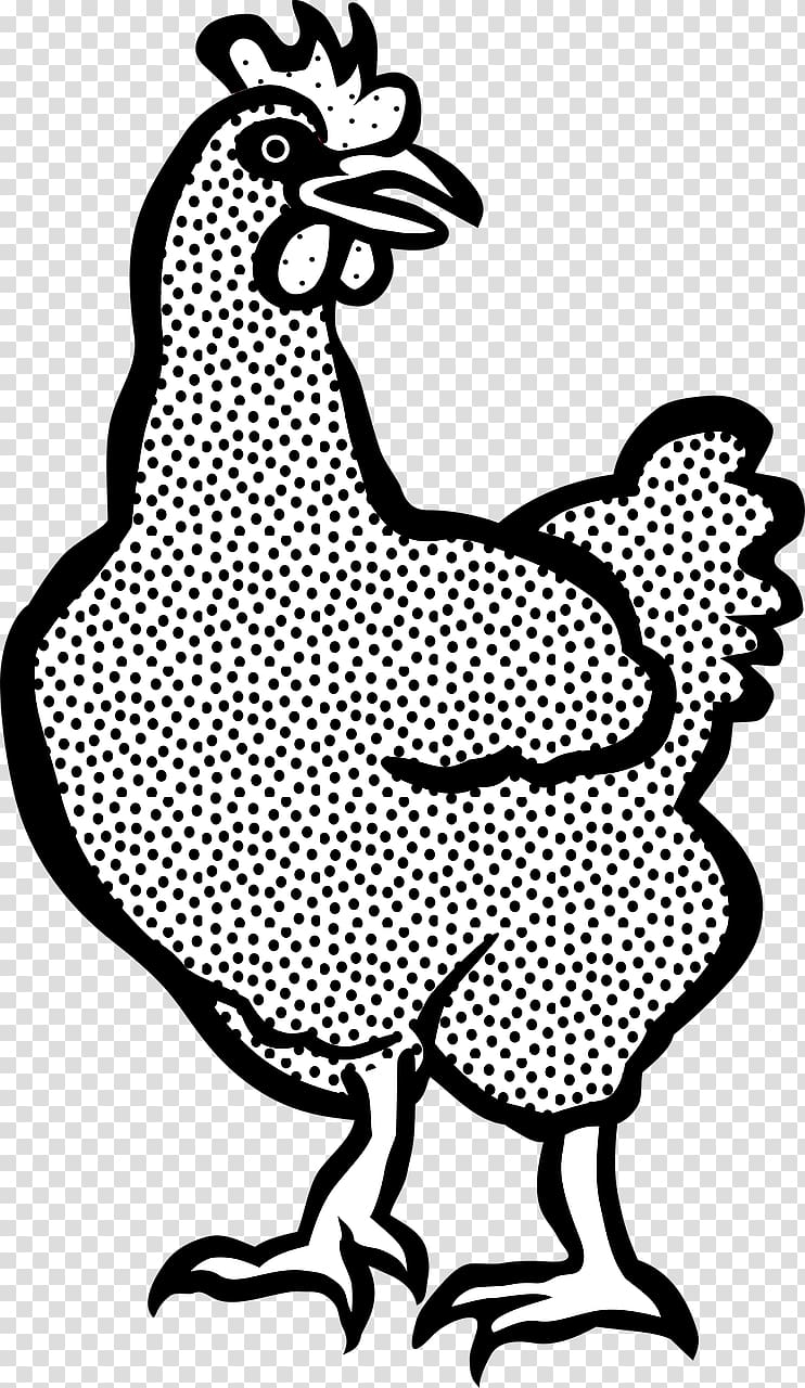 Plymouth Rock chicken White-faced Black Spanish Rooster Drawing Hen, Tier transparent background PNG clipart