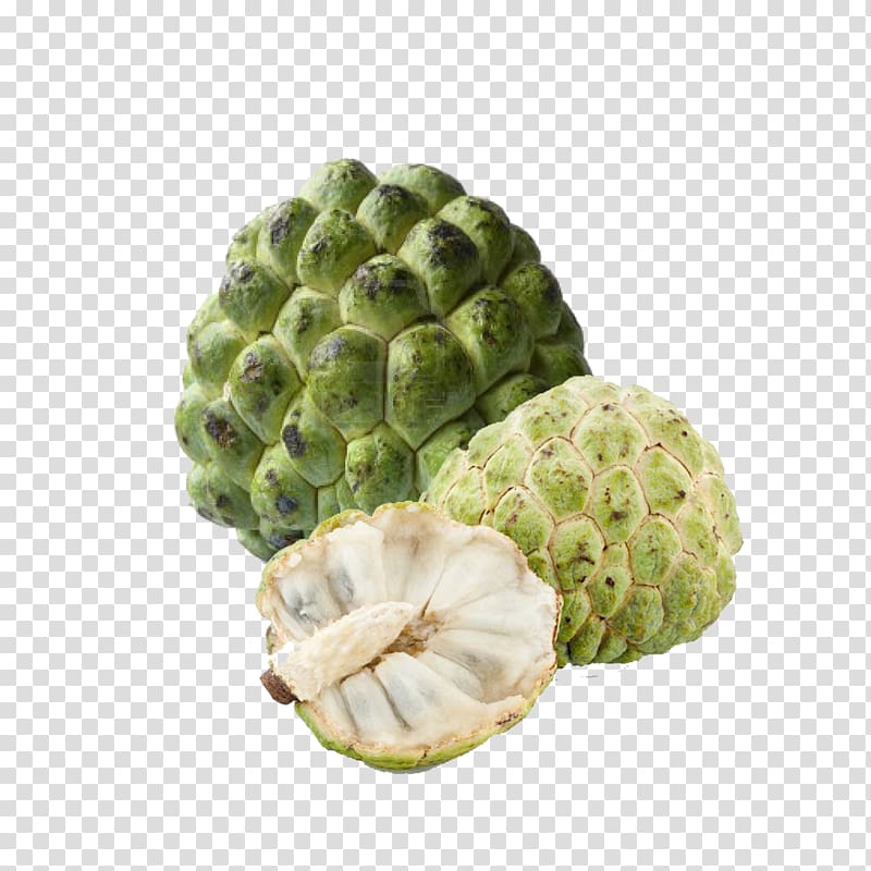 Osage orange art, Sugar-apple Custard-apple Sugar apple Soursop, custard transparent background PNG clipart