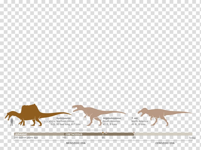 Spinosaurus Giganotosaurus Dopo questo lungo viaggio Horse Apex predator, carnivores transparent background PNG clipart