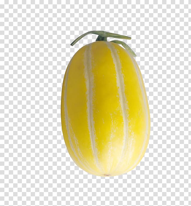 Cantaloupe Melon Winter squash Fruit Cucurbita, Muskmelon transparent background PNG clipart