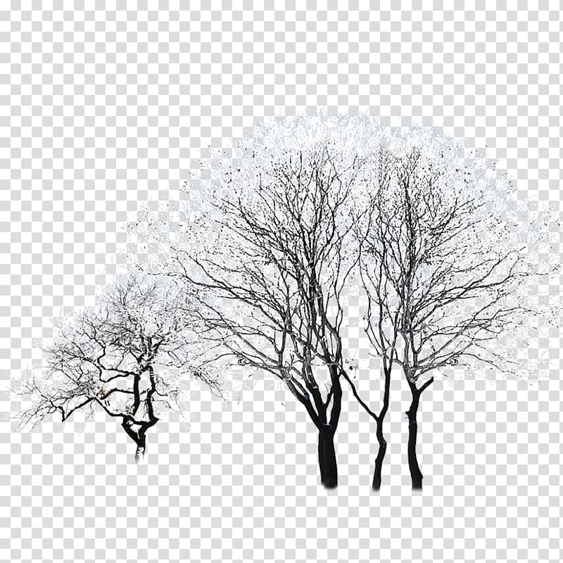 Black and white Sky Pattern, tree transparent background PNG clipart
