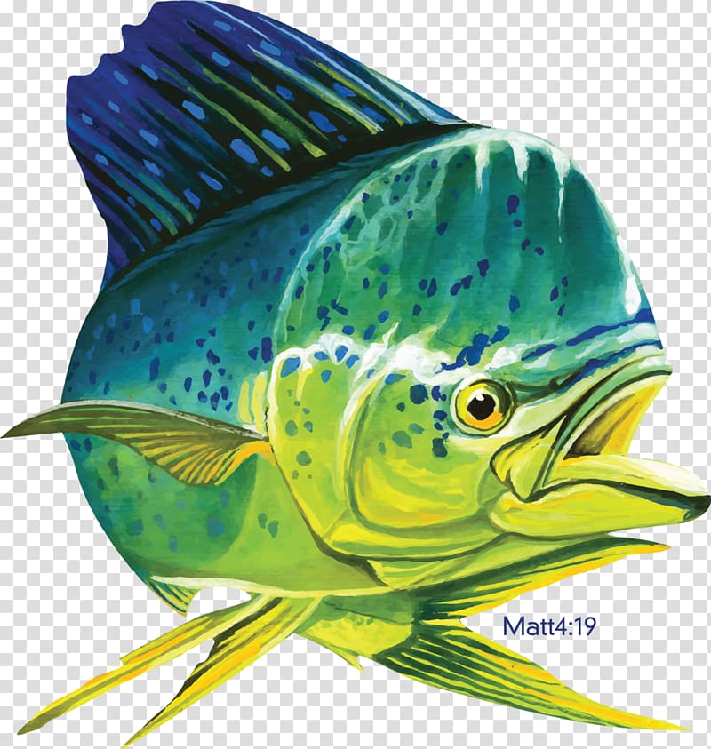 Mahi-mahi fishing Decal T-shirt, fishing transparent background PNG clipart