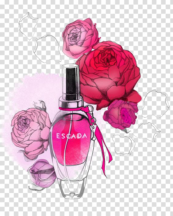 Escada fragrance bottle , Perfume Illustrator Fashion Illustration, perfume transparent background PNG clipart