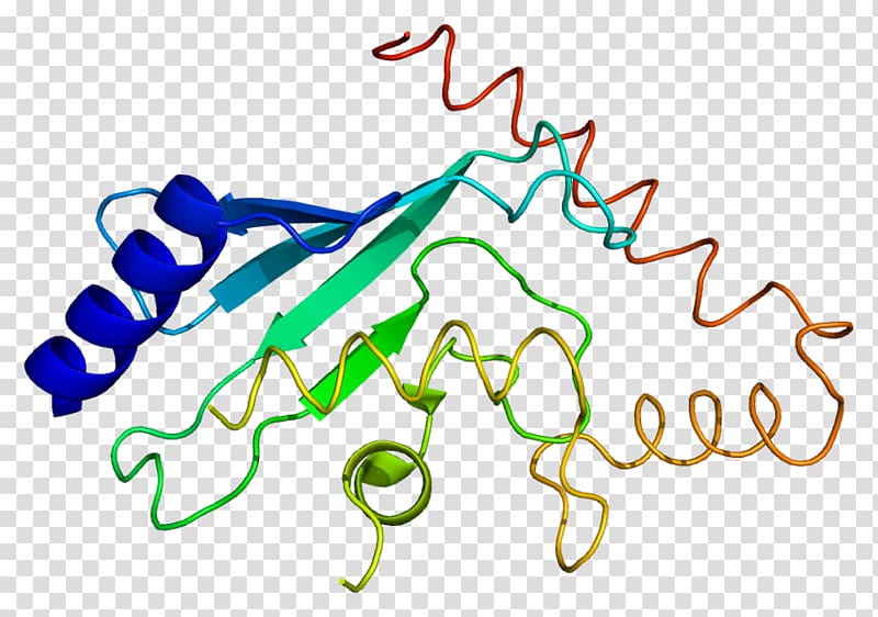 Protein Data Bank F-box protein Cell cycle SCF complex, others transparent background PNG clipart