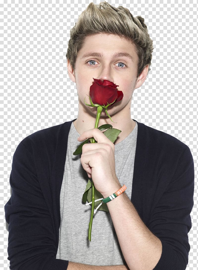 Niall Horan One Direction , direction transparent background PNG clipart
