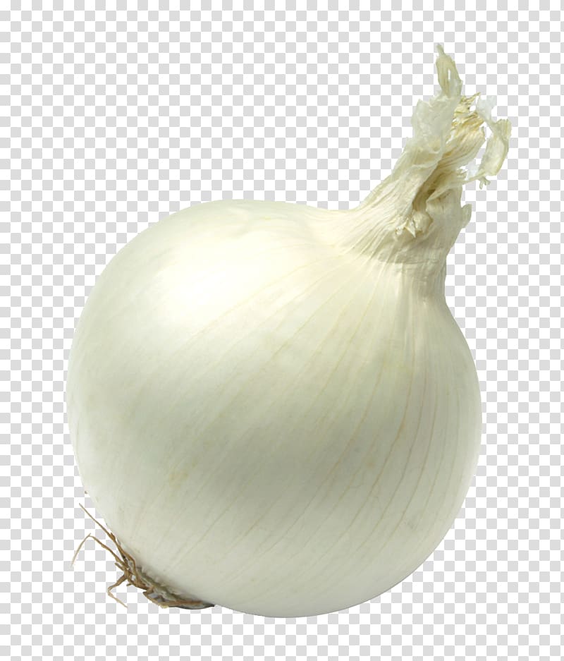 white onion, Yellow onion Garlic Vegetable White onion, An onion transparent background PNG clipart
