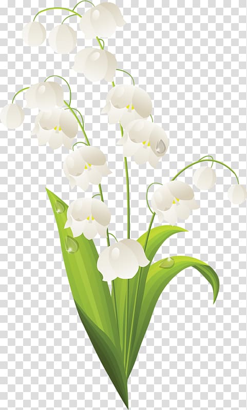 Lily of the valley Flower , Bell orchid transparent background PNG clipart