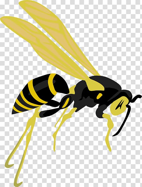 Hornet Bee Wasp , Jason transparent background PNG clipart