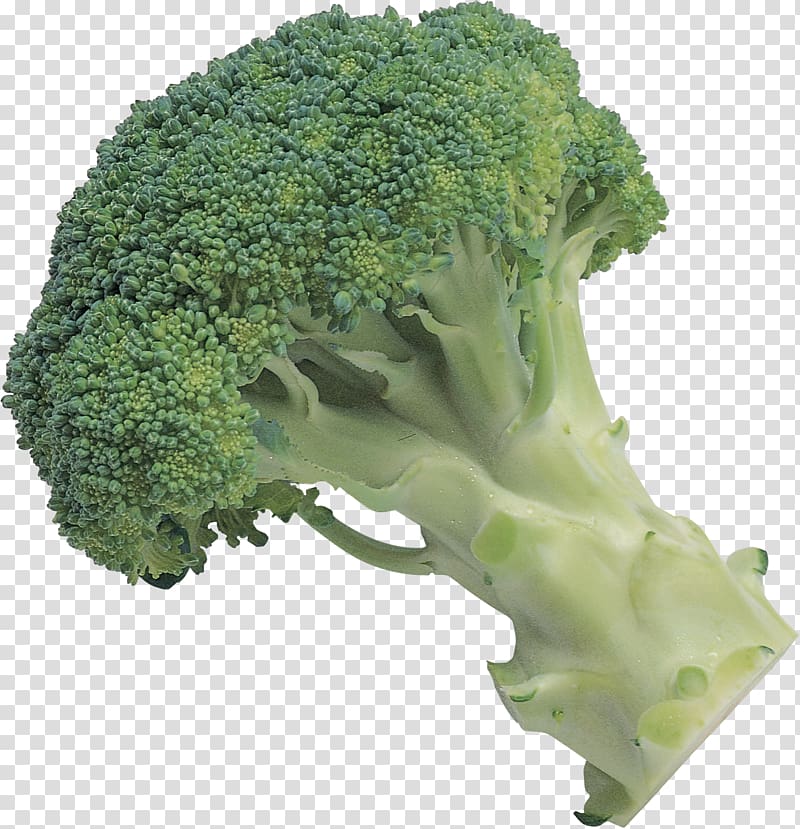 Broccoli slaw, Broccoli transparent background PNG clipart