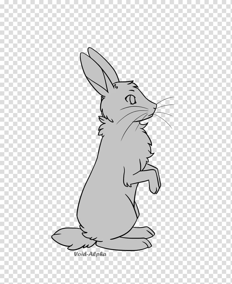 Domestic rabbit Hare Line art Drawing, bunny rabbit transparent background PNG clipart