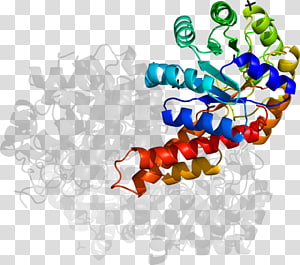 Organism , design transparent background PNG clipart thumbnail