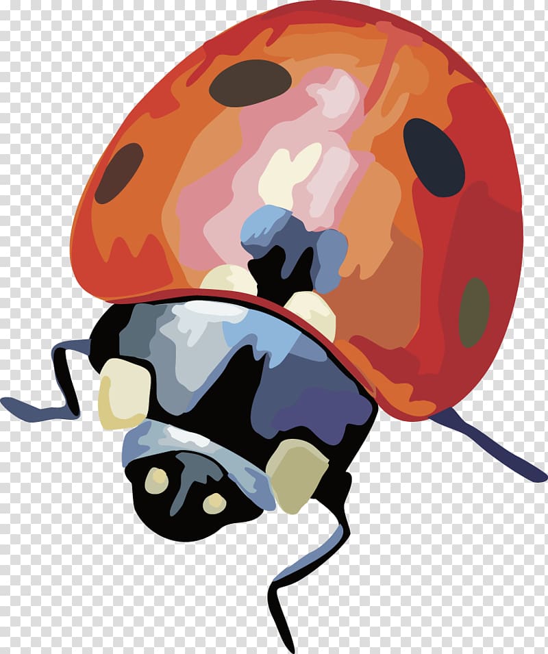 Coccinella septempunctata, Beetle transparent background PNG clipart