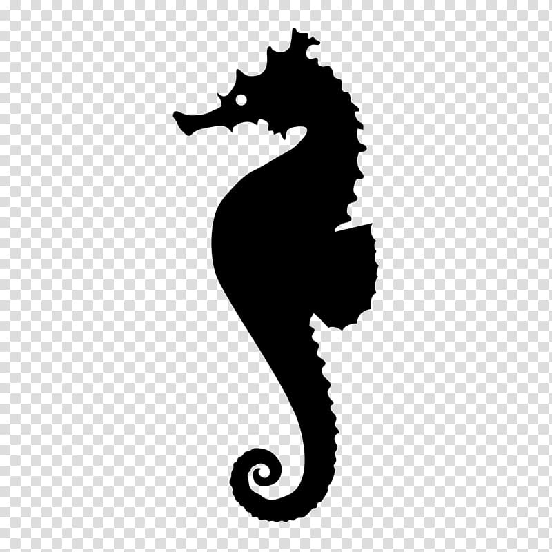 Seahorse Monochrome Syngnathiformes, seahorse transparent background PNG clipart