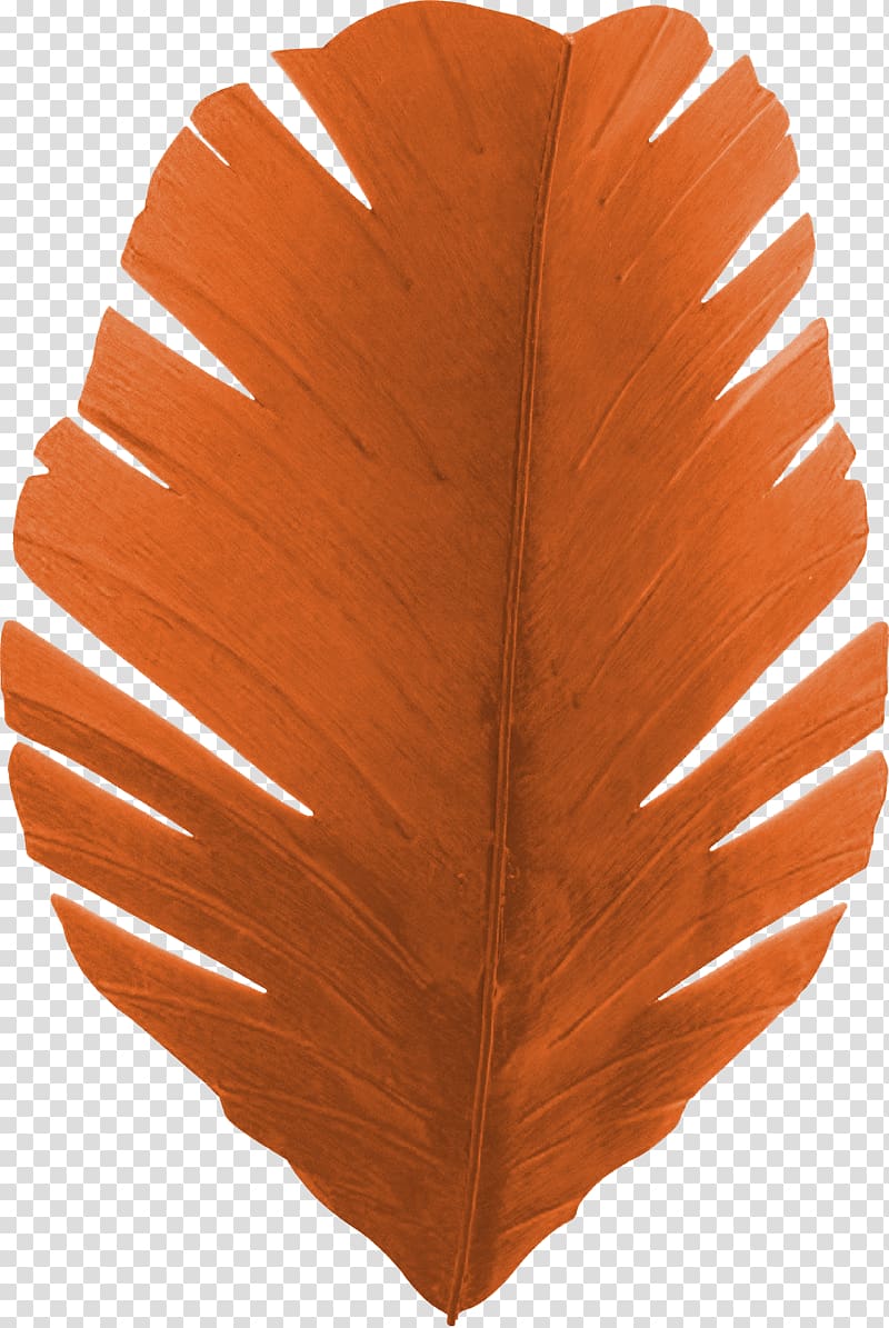 Banana leaf Light Sconce, Beautiful orange feather transparent background PNG clipart