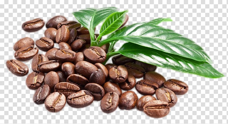 Jamaican Blue Mountain Coffee Caffè macchiato Espresso Coffee bean, beens transparent background PNG clipart