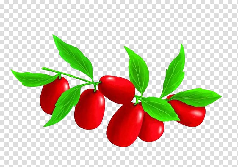 Jujube Barbados Cherry Illustration, Red dates transparent background PNG clipart