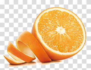 Trái cam trong suốt có một vẻ đẹp rất riêng, mang lại sự khác biệt và thú vị cho người xem. Hãy cùng nhau ngắm nhìn những trái cam trong suốt để khám phá thêm vẻ đẹp tinh tế và độc đáo của chúng.