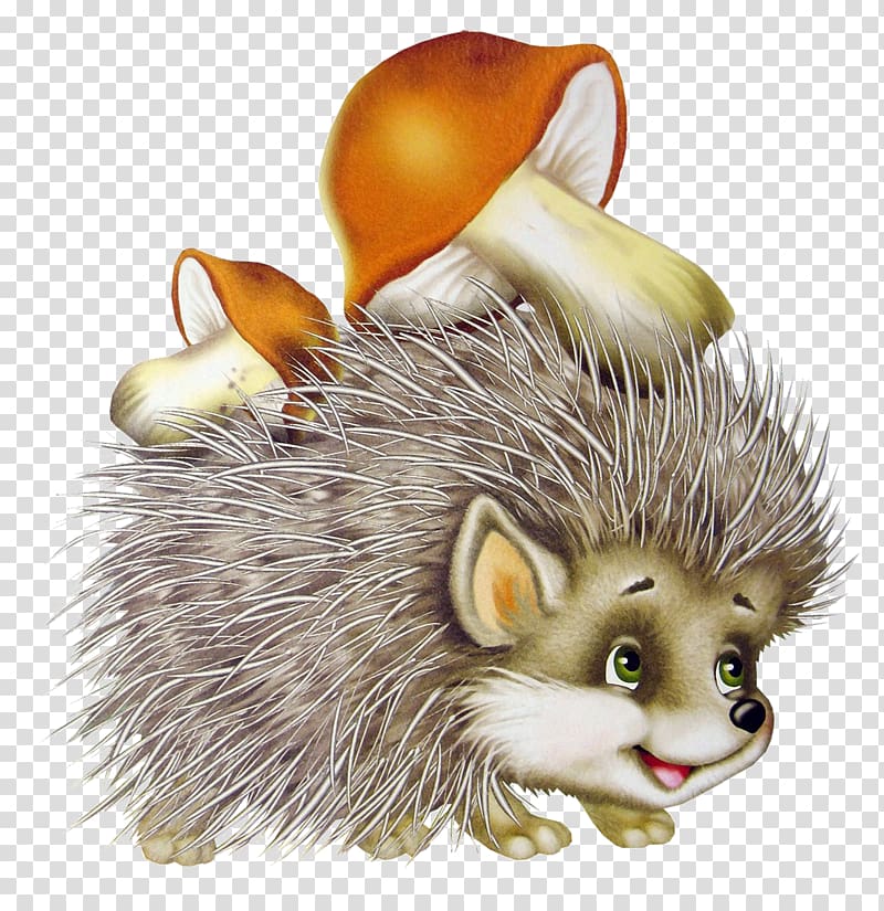 European Hedgehog Sea urchin Истории про ёжика Child, hedgehog transparent background PNG clipart