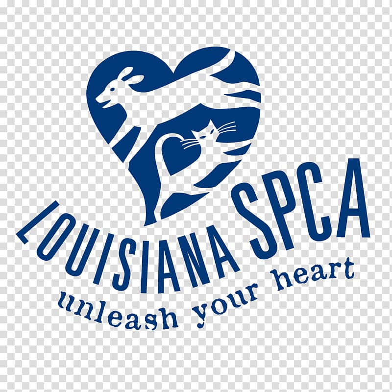 Louisiana SPCA Cat Dog Society for the Prevention of Cruelty to Animals Critter Cinema (Overnight), Cat transparent background PNG clipart