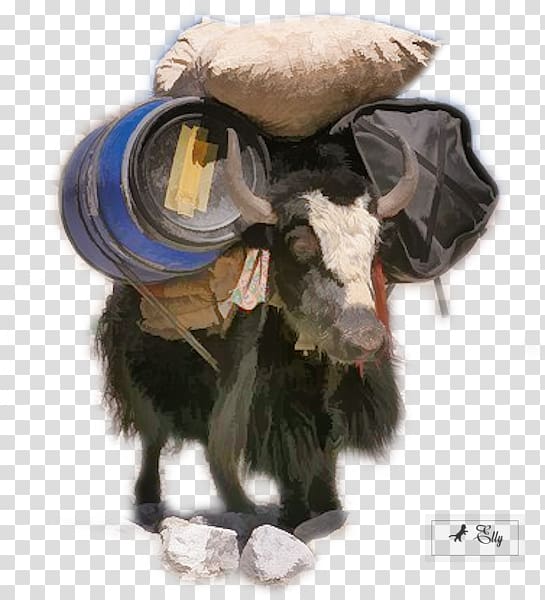 Domestic yak Cattle Wild yak Tibetan cuisine Animal, watercolor birds transparent background PNG clipart