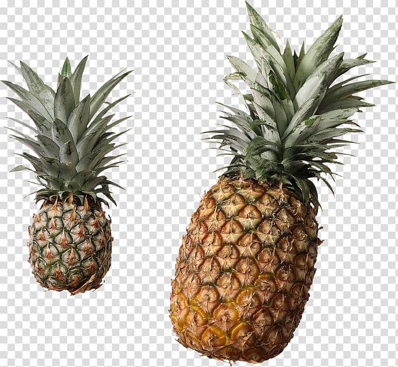 Pineapple transparent background PNG clipart