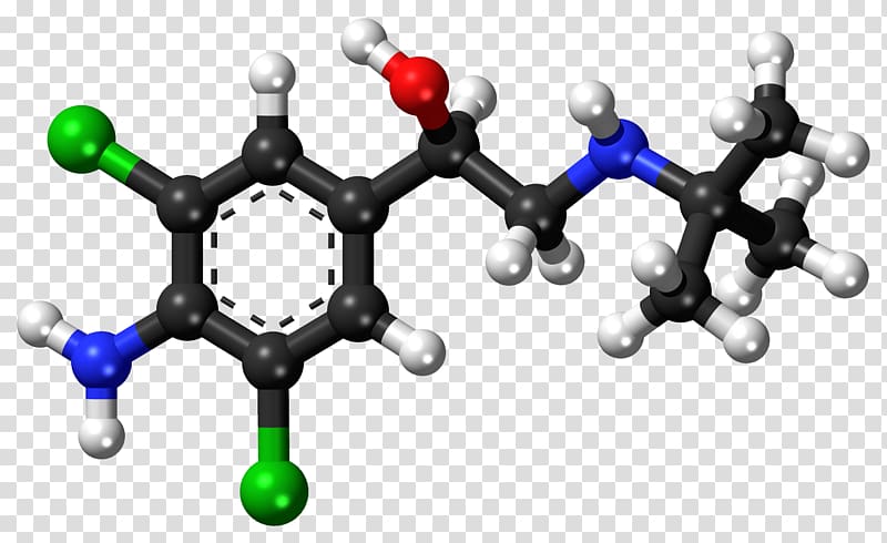 Caffeic acid P-Coumaric acid Amino acid Carboxylic acid, Clen transparent background PNG clipart