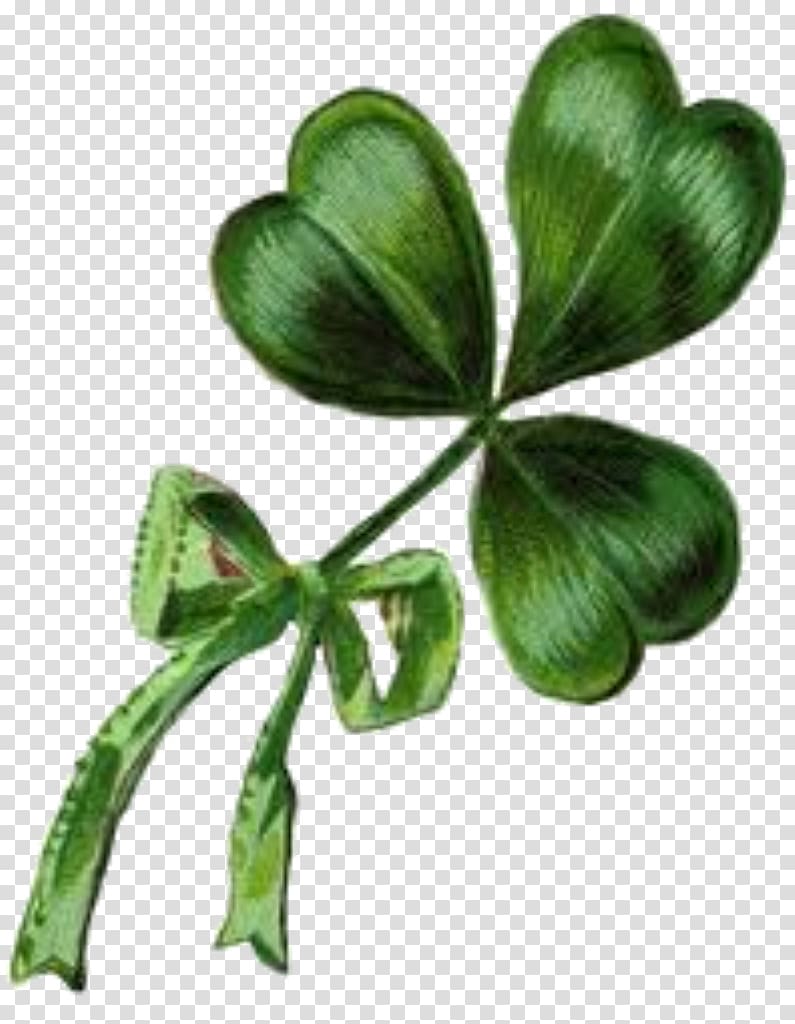 Ireland Shamrock Saint Patrick\'s Day Vintage clothing , ST PATRICKS DAY transparent background PNG clipart
