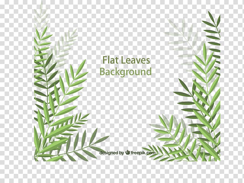 flat leaves background illustration, Leaf Euclidean , Flat palm leaf transparent background PNG clipart