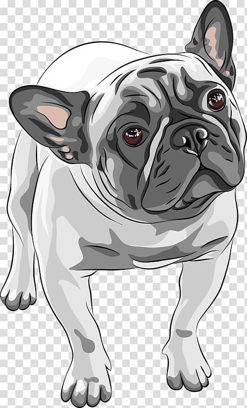 fawn pug illustration, French Bulldog American Bulldog Puppy, Hand-painted puppy transparent background PNG clipart